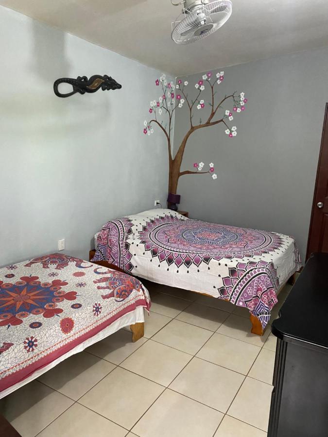 Blue Morpho House B&B Manuel Antonio Esterno foto