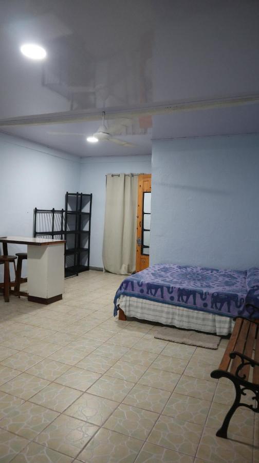Blue Morpho House B&B Manuel Antonio Esterno foto