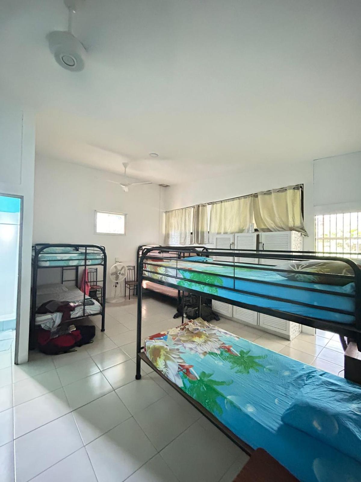 Blue Morpho House B&B Manuel Antonio Esterno foto